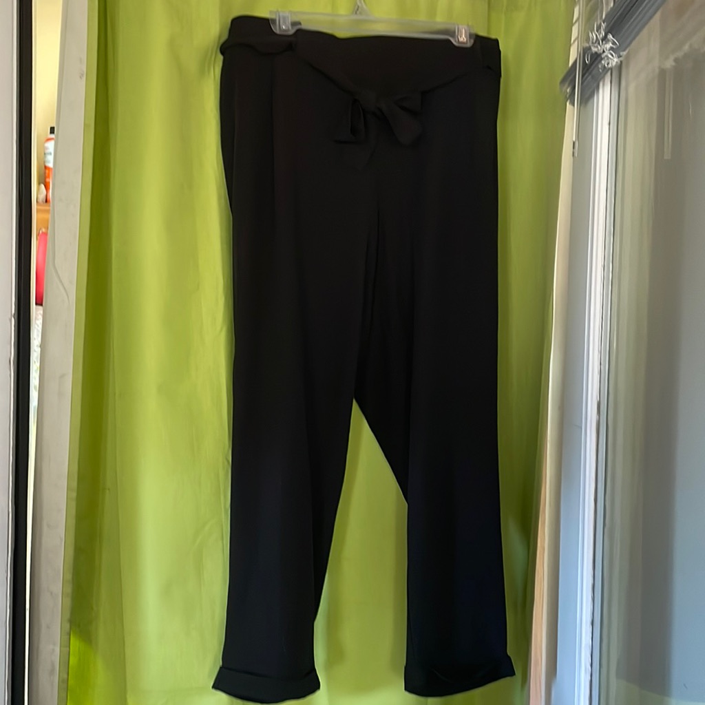 Plus Size Philosophy Paper Bag Pants 3x